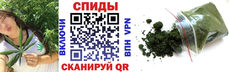 KRAKEN рабочий сайт Шимановск shop формула Бутират 1.4BDO