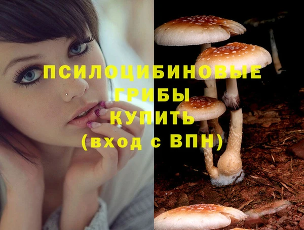 мяу мяу мука Магас
