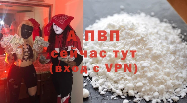мяу мяу мука Магас