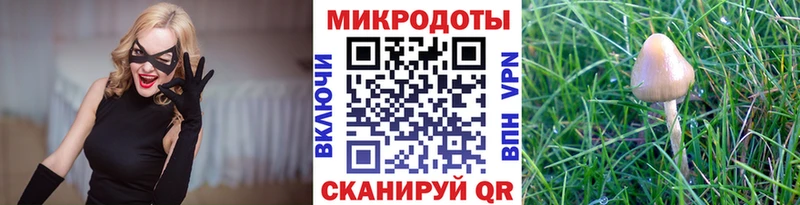 закладки  Шимановск  маркетплейс телеграм  Галлюциногенные грибы прущие грибы  МЕГА tor 